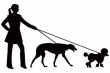 Закон о выгуле собак
